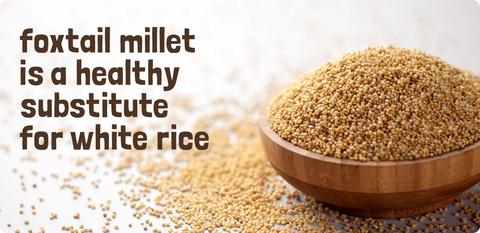 Foxtail millet - Nutritional benefits