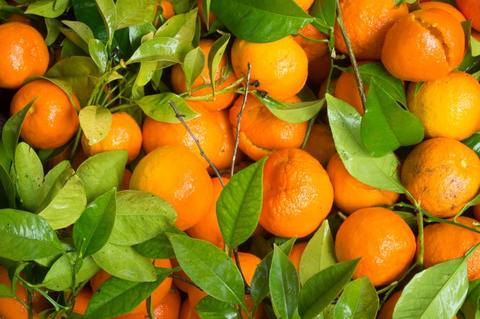 Fruit For Pregnant Woman - Orange